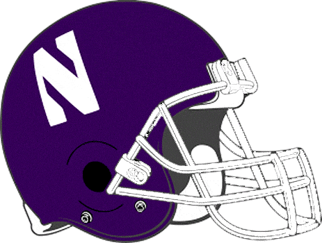 Northwestern Wildcats 1981-1992 Helmet Logo t shirts DIY iron ons